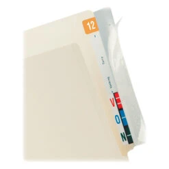 Tabbies Self-Adhesive End Tab File Protector, 8 X 2 Inches, Clear, Pack Of 100
