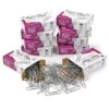Charles Leonard #1 Gem Paper Clips, 100/Box -Office Product Shop m007112645 sc7