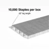 TRU RED™ Premium Staples, 1/4" Leg Length, 10000 Staples/Box (TR58089) -Office Product Shop s1209892 sc7